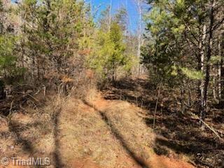 Lot 8 Stevens Drive, Jonesville, North Carolina image 9