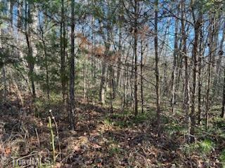 Lot 8 Stevens Drive, Jonesville, North Carolina image 7