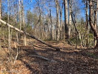 Lot 8 Stevens Drive, Jonesville, North Carolina image 8