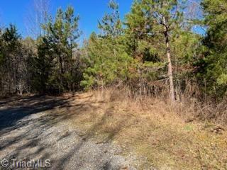 Lot 8 Stevens Drive, Jonesville, North Carolina image 4