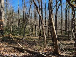 Lot 8 Stevens Drive, Jonesville, North Carolina image 6