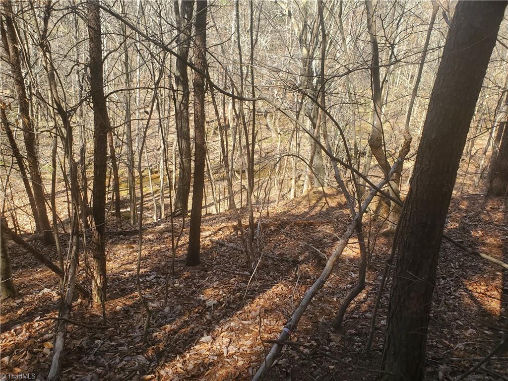 1967 Mulberry Academy Street, Franklinville, North Carolina image 5