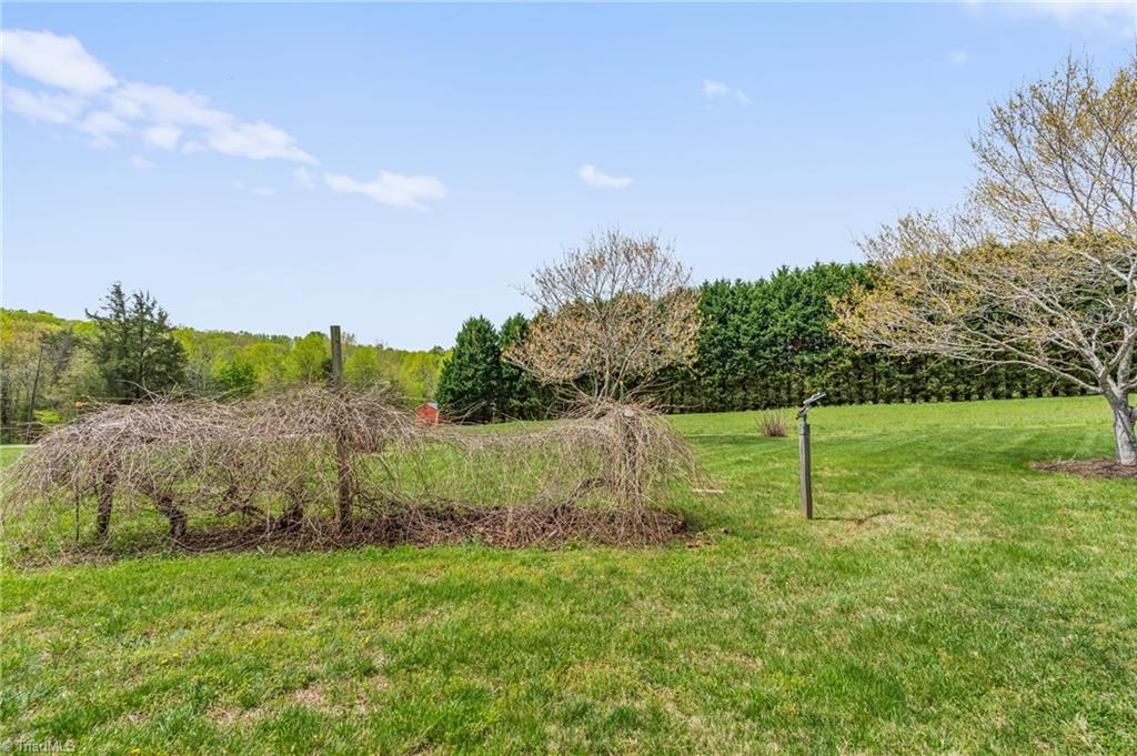 8074 Deer Hill Circle, Belews Creek, North Carolina image 44