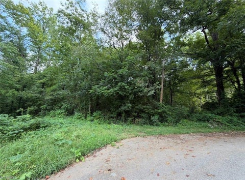 Vacant Land For Sale - Aberdeen Drive<br/> Davidson County, Lexington, NC 27292