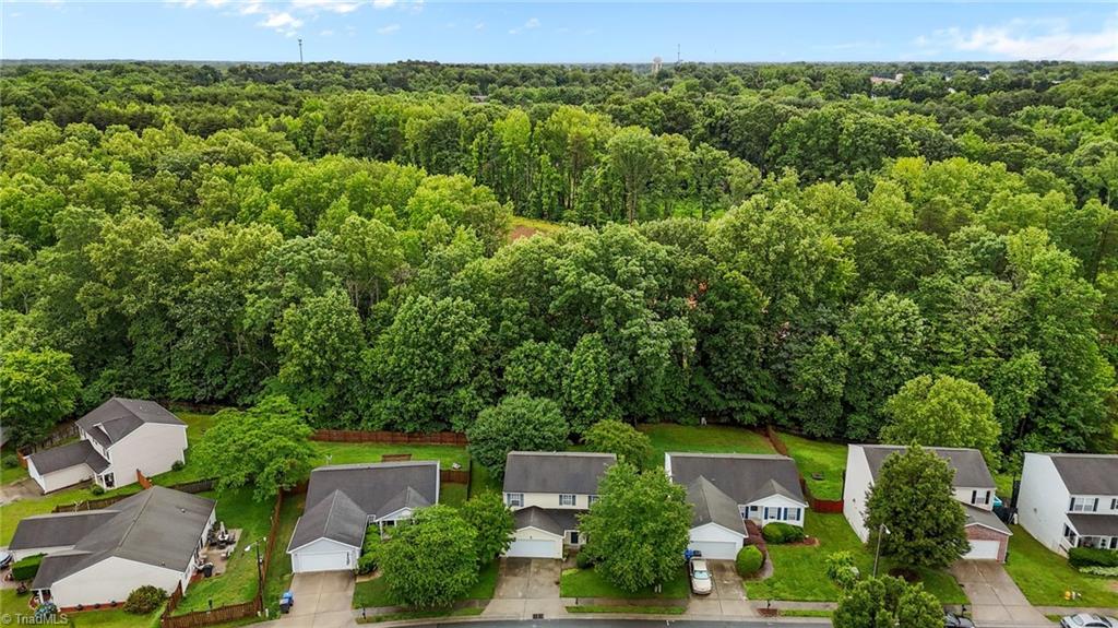 219 Calla Lilly Lane, Kernersville, North Carolina image 48