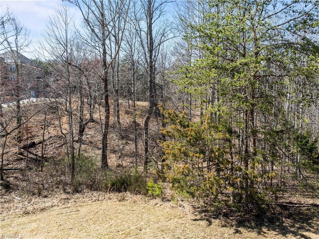 1590 Pike Place Court, Kernersville, North Carolina image 9