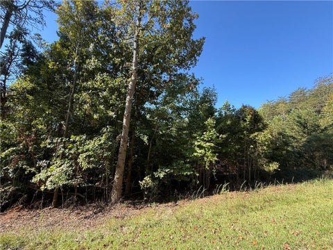 Vacant Land For Sale - Cedar Forest Road<br/> Franklinville, NC 27248