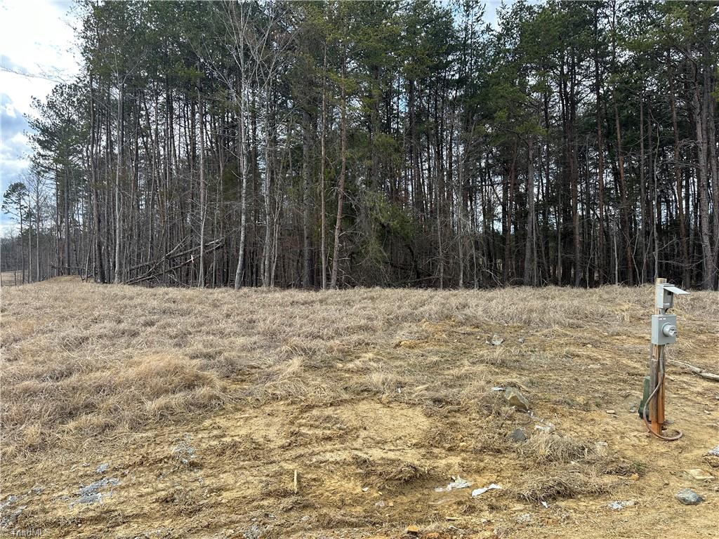 203 Oakdale Forest Court #LOT 9, Jamestown, North Carolina image 20