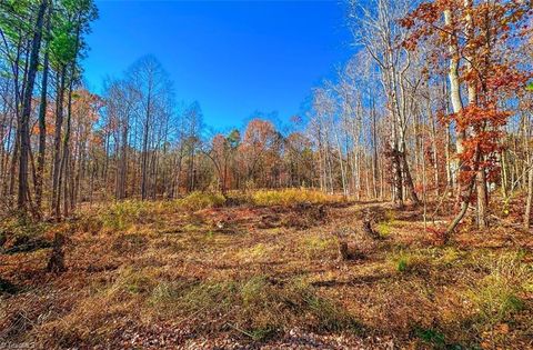 170 Hash Lane Summerfield NC 27358