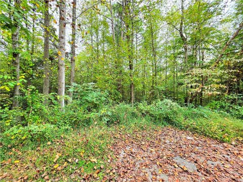Vacant Land For Sale - LOT 1 Holder Street<br/> Hays, NC 28635