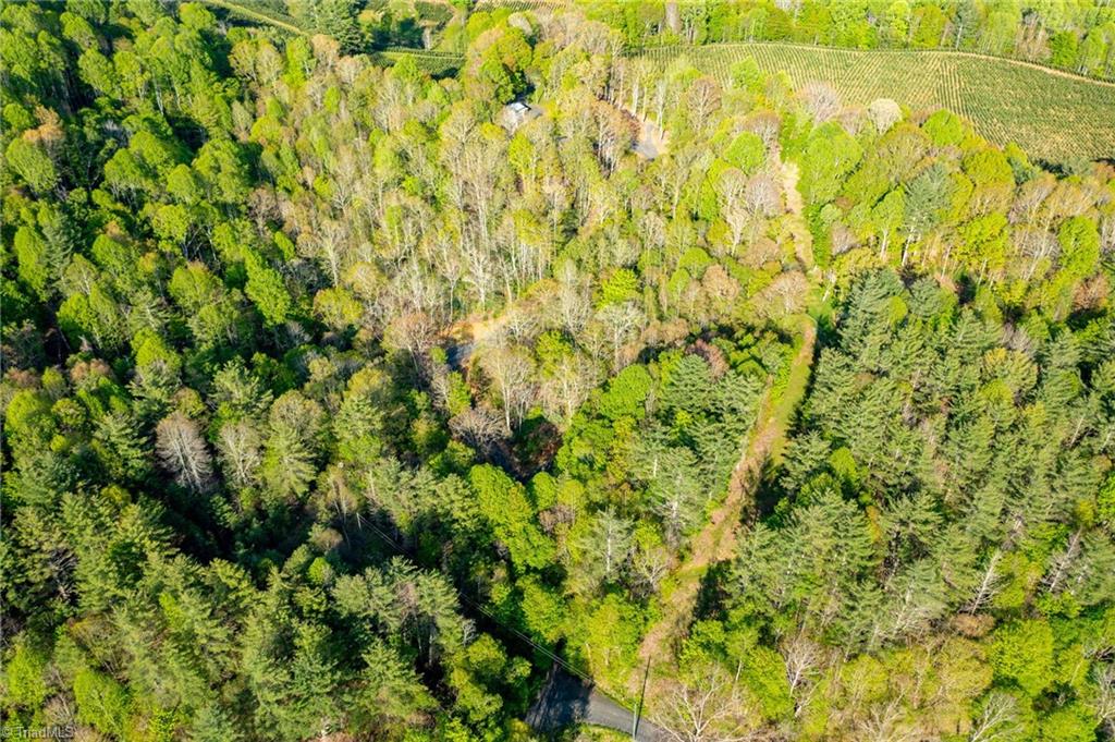 752 Mud Creek Road, Lansing, North Carolina image 38