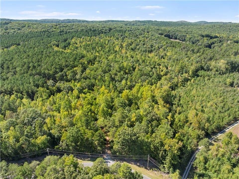 Vacant Land For Sale - 00 New Hope Road<br/> Denton, NC 27239