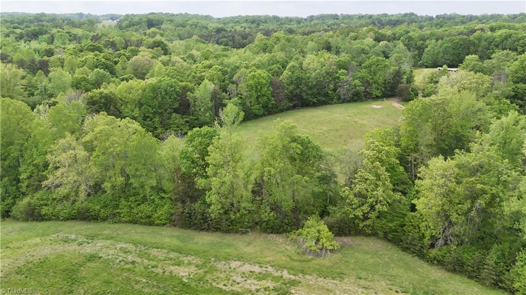 Mims Farm Road, Reidsville, North Carolina image 20