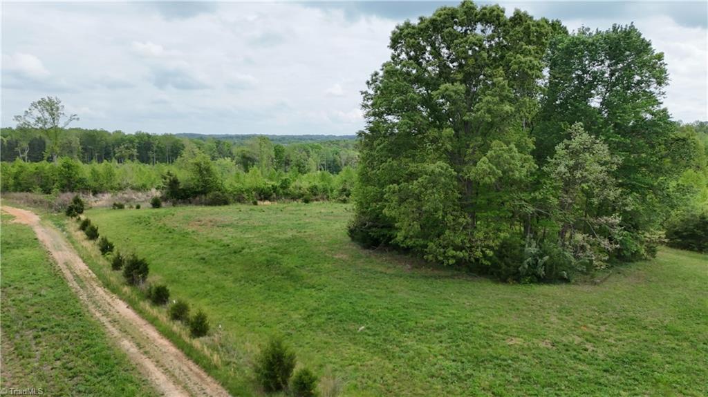 Mims Farm Road, Reidsville, North Carolina image 17