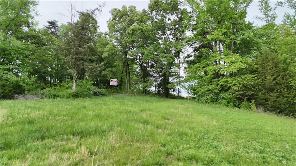 Mims Farm Road, Reidsville, North Carolina image 15