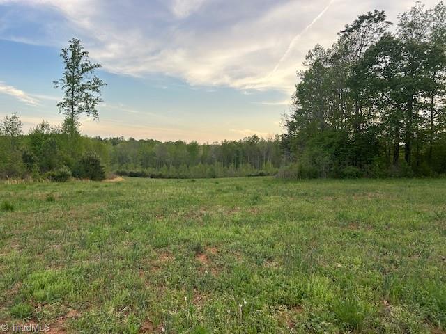 Mims Farm Road, Reidsville, North Carolina image 29
