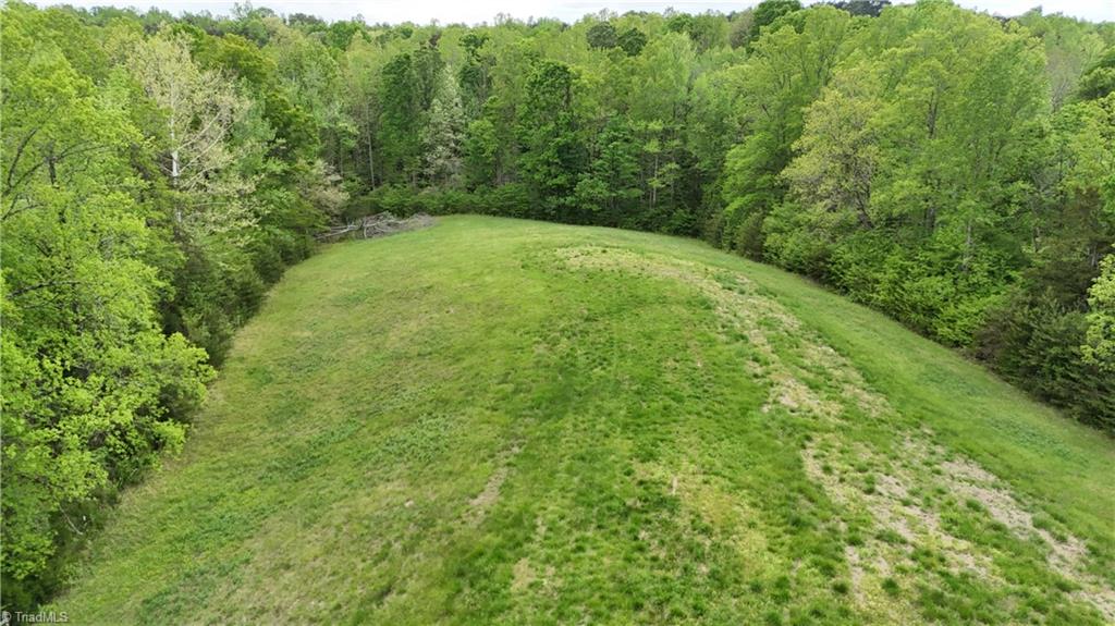 Mims Farm Road, Reidsville, North Carolina image 13