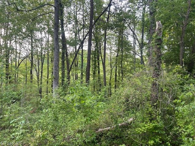 Mims Farm Road, Reidsville, North Carolina image 28