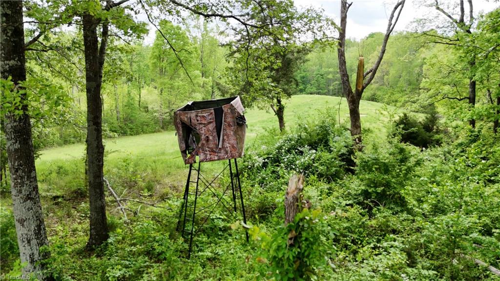 Mims Farm Road, Reidsville, North Carolina image 24