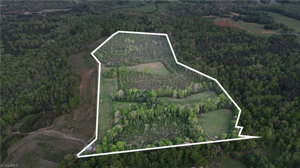 Mims Farm Road, Reidsville, North Carolina image 5