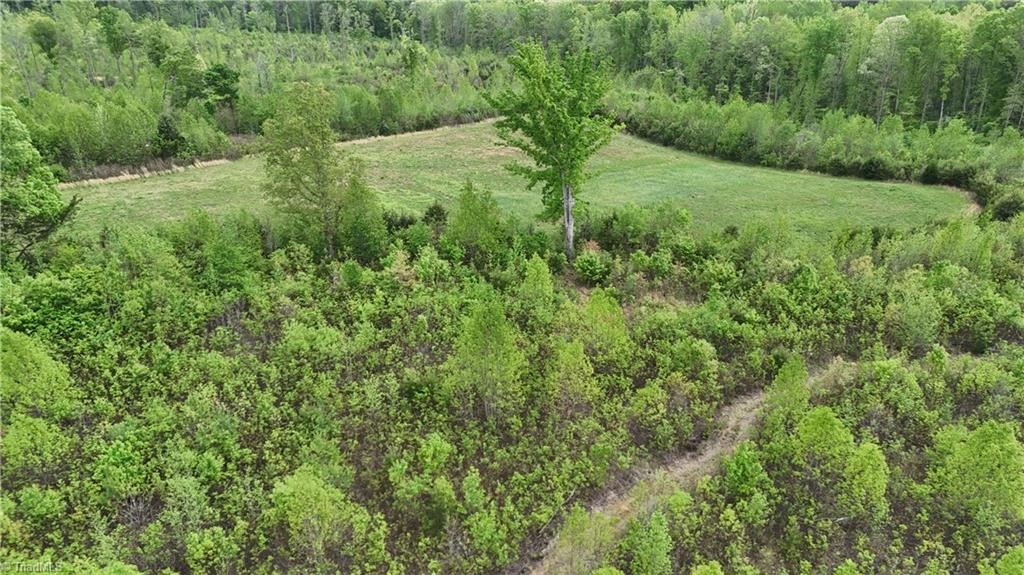 Mims Farm Road, Reidsville, North Carolina image 12