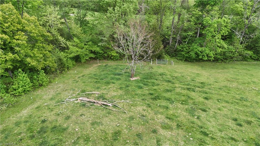 Mims Farm Road, Reidsville, North Carolina image 10