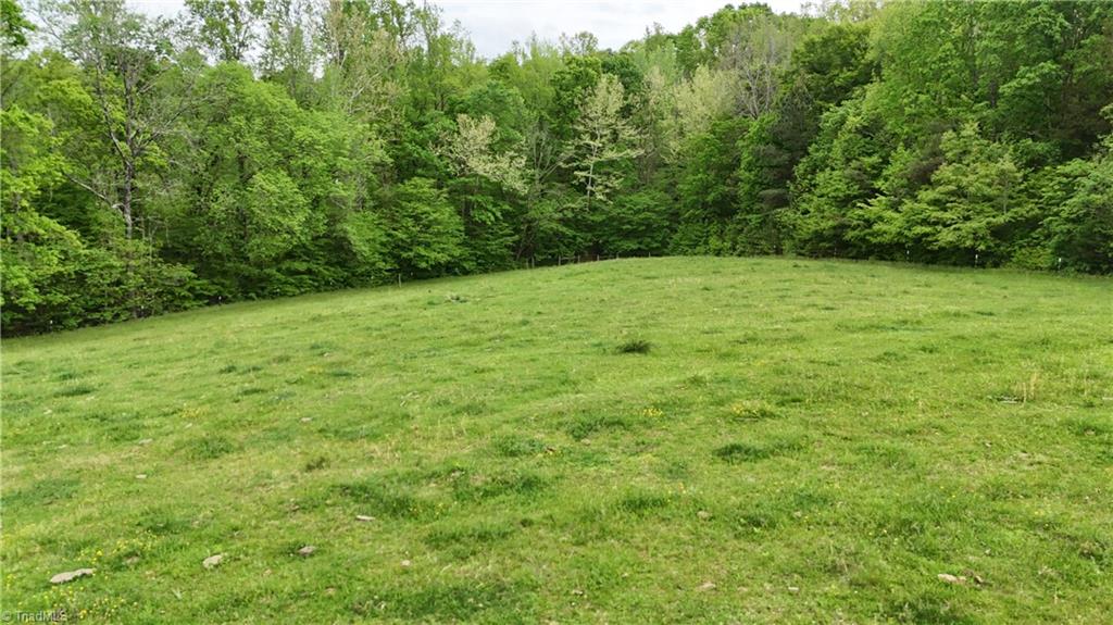 Mims Farm Road, Reidsville, North Carolina image 9
