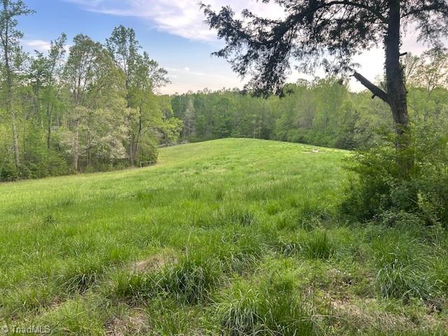 Mims Farm Road, Reidsville, North Carolina image 27