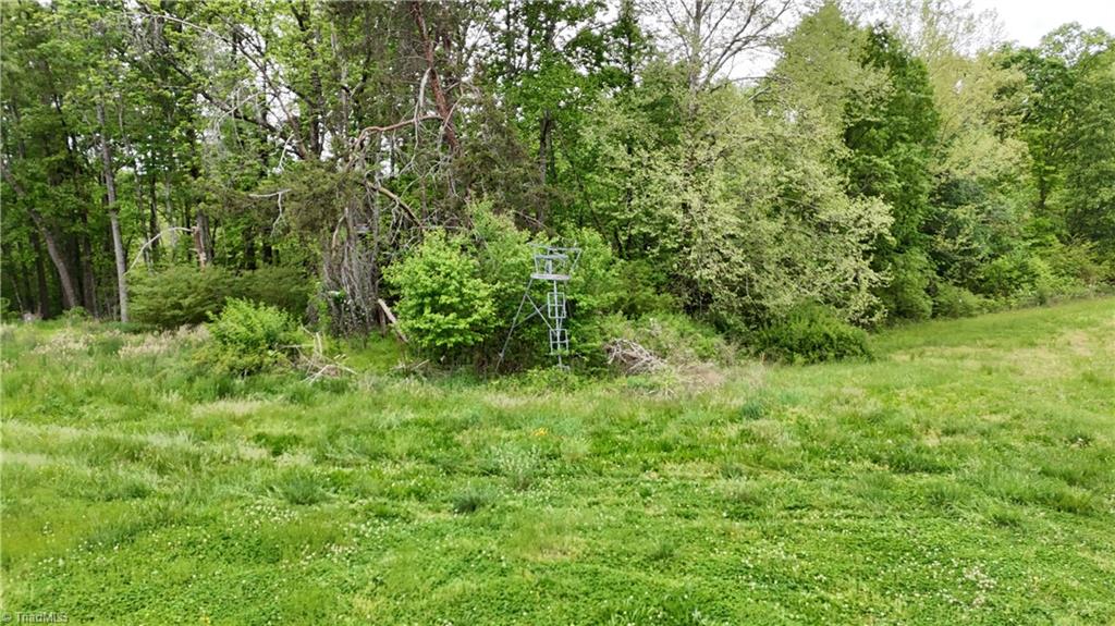 Mims Farm Road, Reidsville, North Carolina image 16