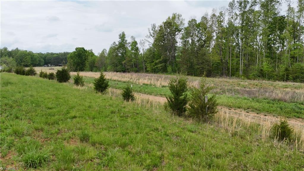 Mims Farm Road, Reidsville, North Carolina image 18