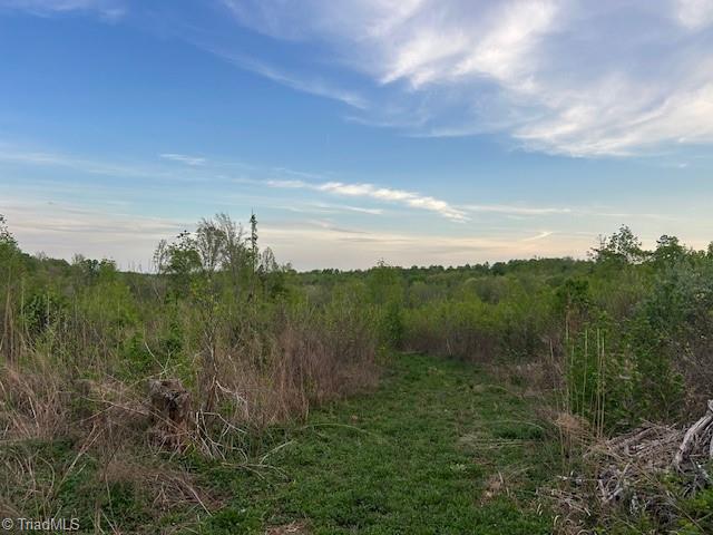 Mims Farm Road, Reidsville, North Carolina image 33