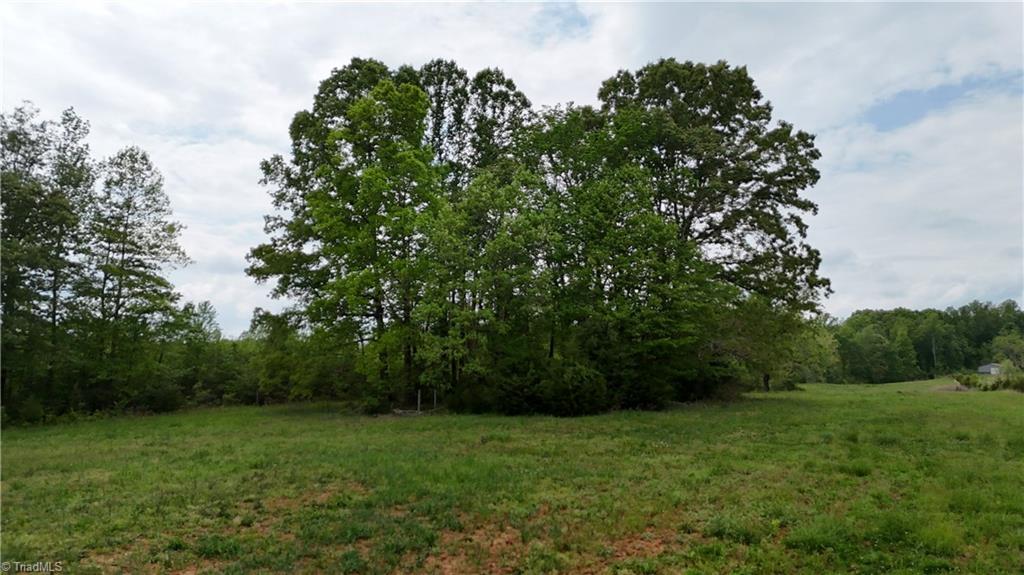 Mims Farm Road, Reidsville, North Carolina image 23