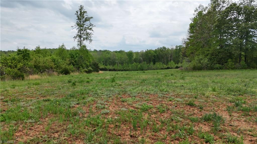Mims Farm Road, Reidsville, North Carolina image 19