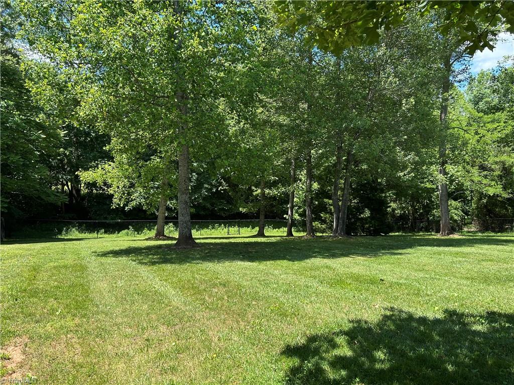 167 Southwycke Lane, Pilot Mountain, North Carolina image 8