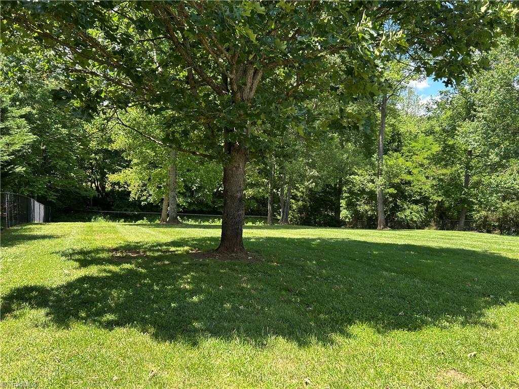 167 Southwycke Lane, Pilot Mountain, North Carolina image 6