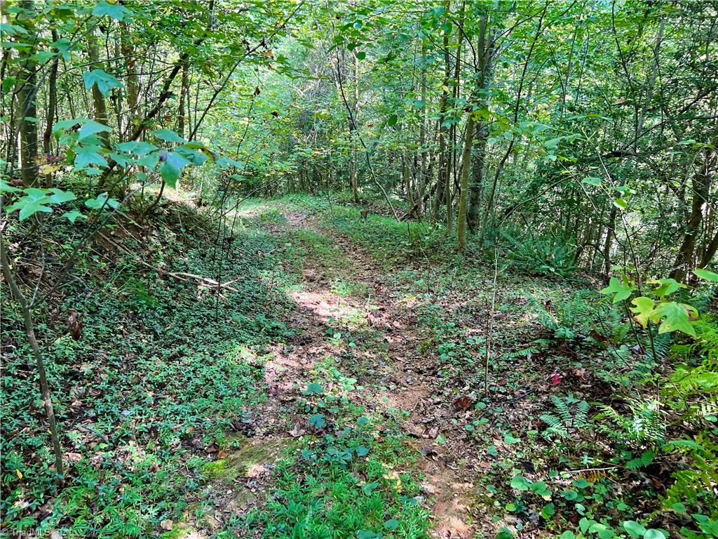 00 Pedigo Ridge Road #41.61 ACRES, Claudville, Virginia image 23