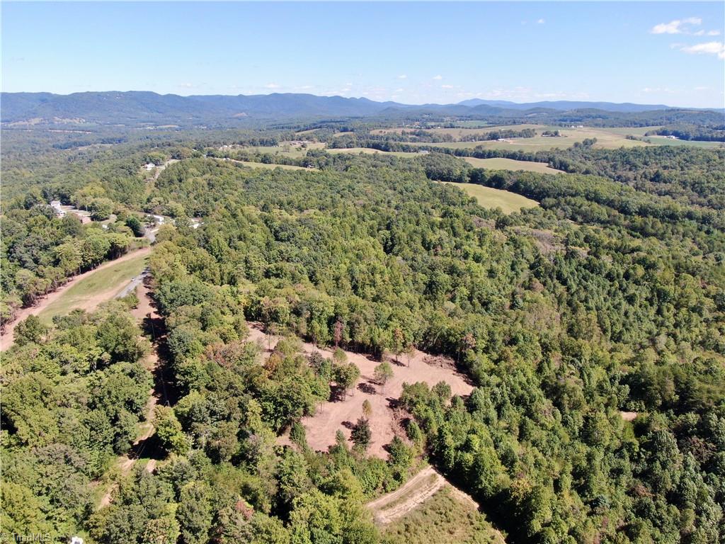 00 Pedigo Ridge Road #41.61 ACRES, Claudville, Virginia image 26