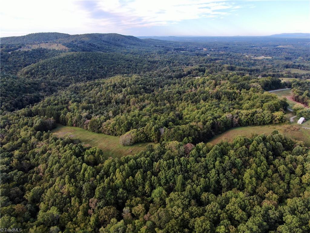 00 Pedigo Ridge Road #41.61 ACRES, Claudville, Virginia image 25