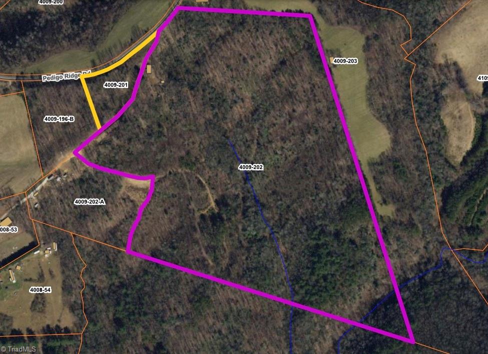 00 Pedigo Ridge Road #41.61 ACRES, Claudville, Virginia image 33