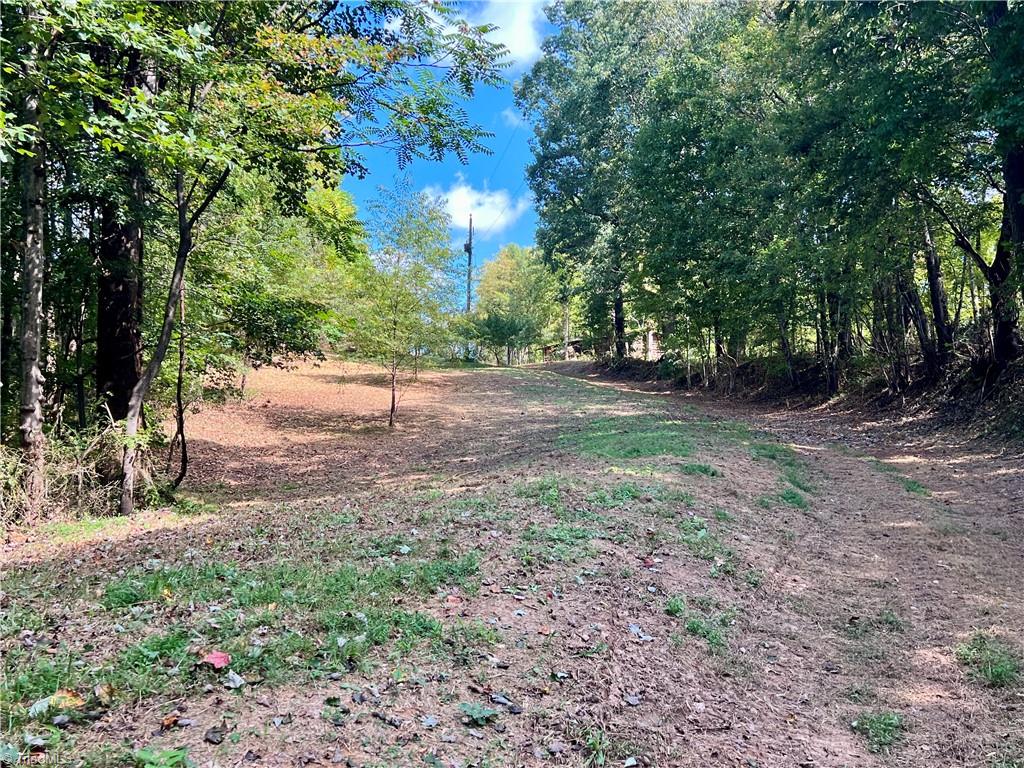 00 Pedigo Ridge Road #41.61 ACRES, Claudville, Virginia image 17