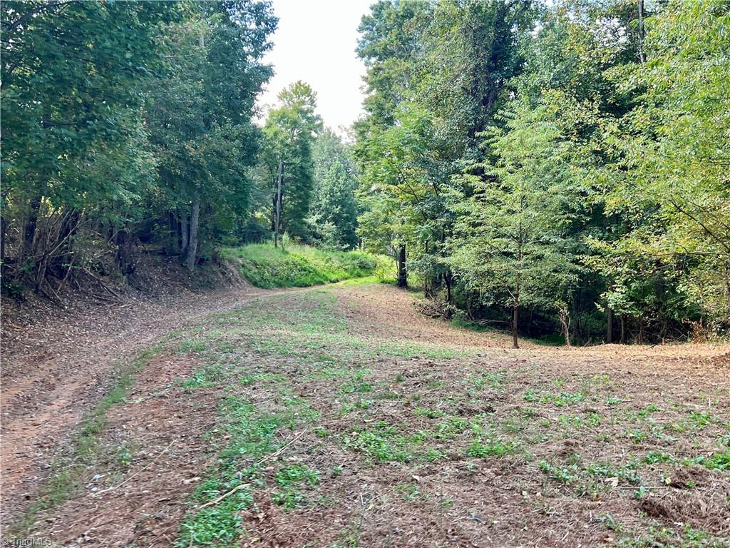 00 Pedigo Ridge Road #41.61 ACRES, Claudville, Virginia image 16