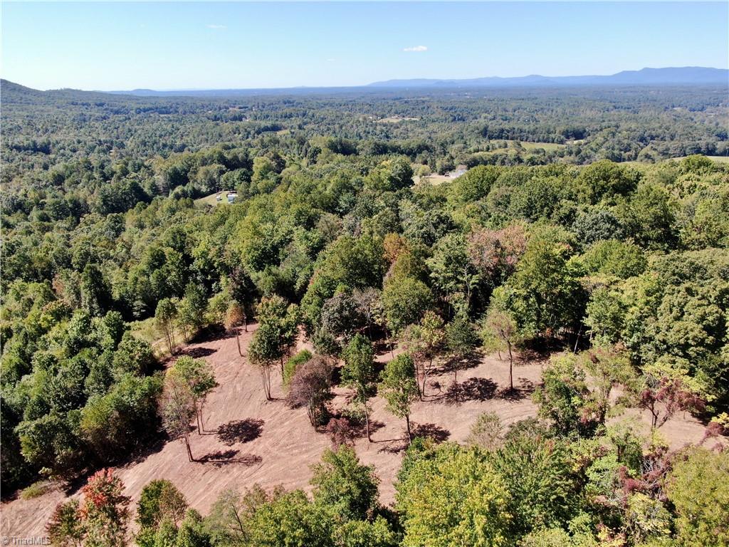 00 Pedigo Ridge Road #41.61 ACRES, Claudville, Virginia image 27