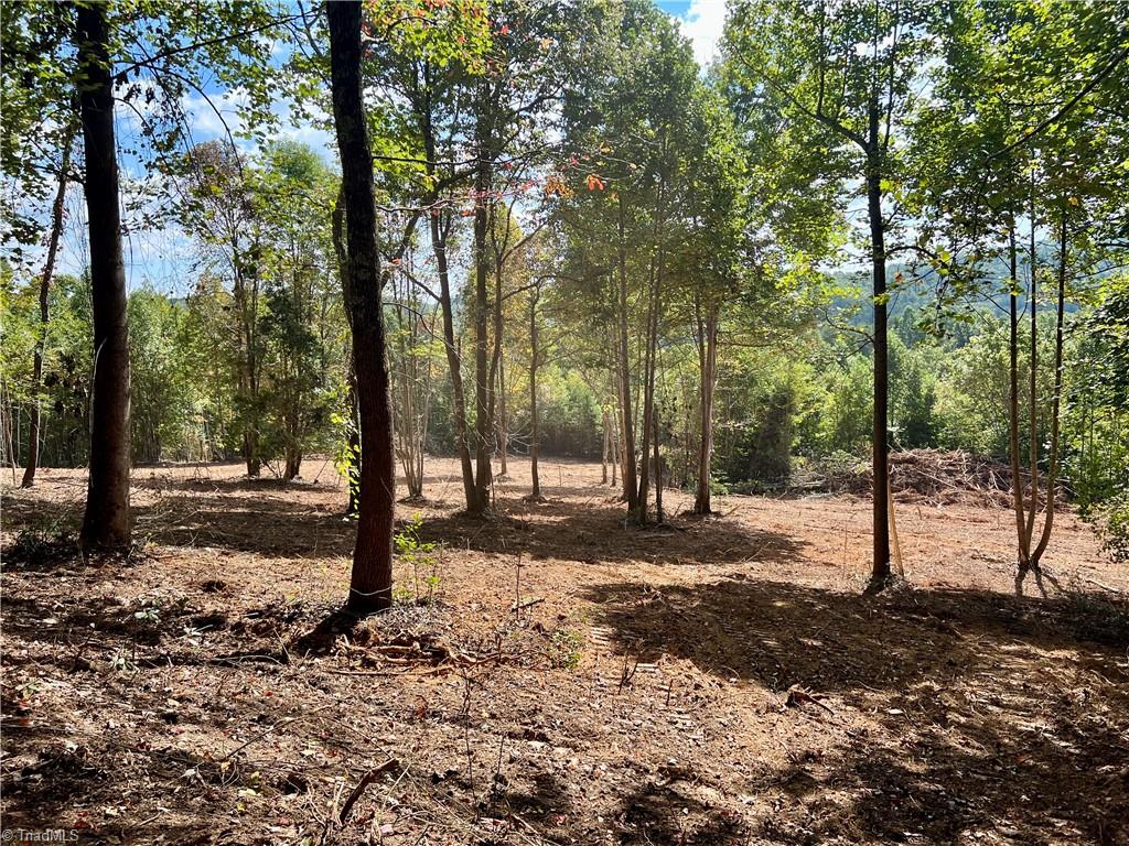 00 Pedigo Ridge Road #41.61 ACRES, Claudville, Virginia image 2