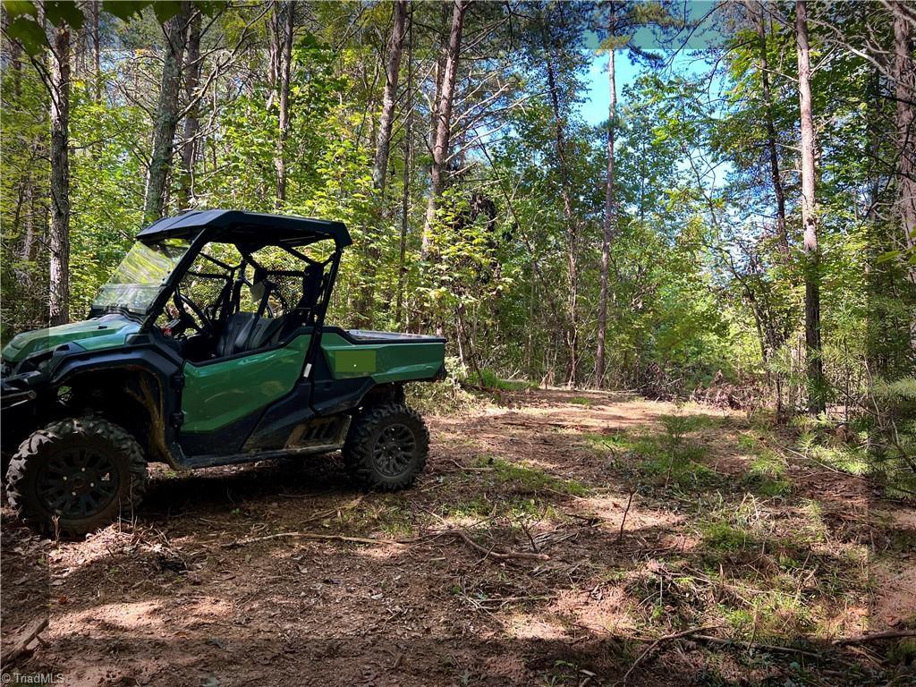 00 Pedigo Ridge Road #41.61 ACRES, Claudville, Virginia image 8