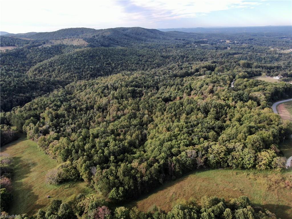 00 Pedigo Ridge Road #41.61 ACRES, Claudville, Virginia image 30