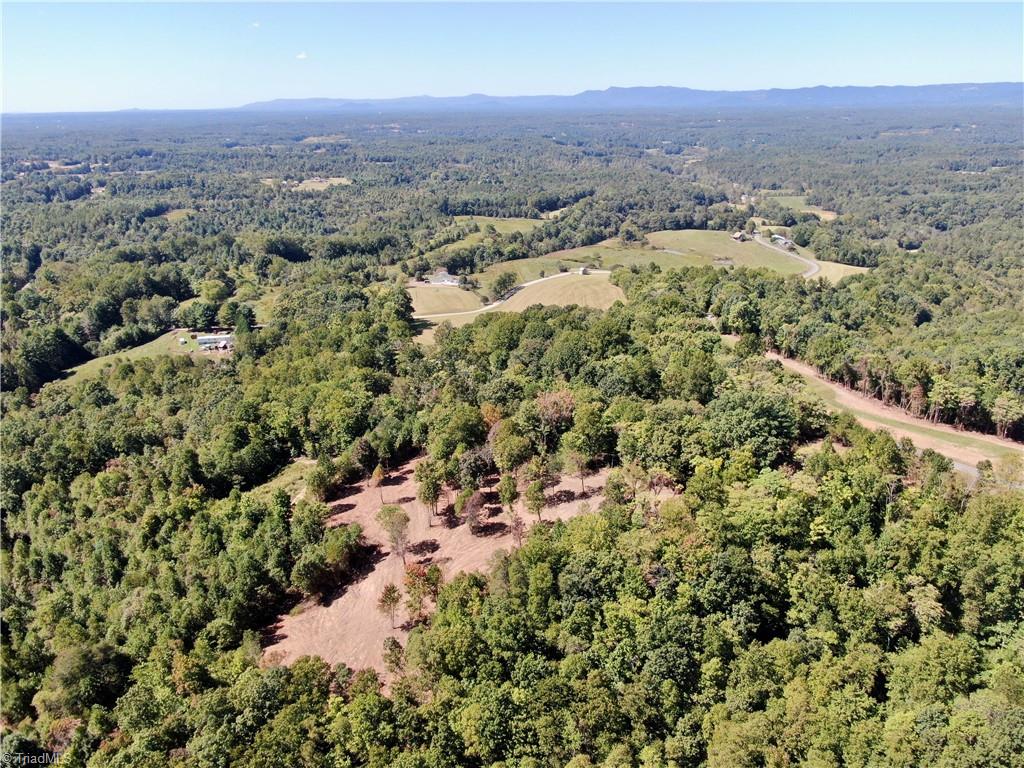 00 Pedigo Ridge Road #41.61 ACRES, Claudville, Virginia image 29