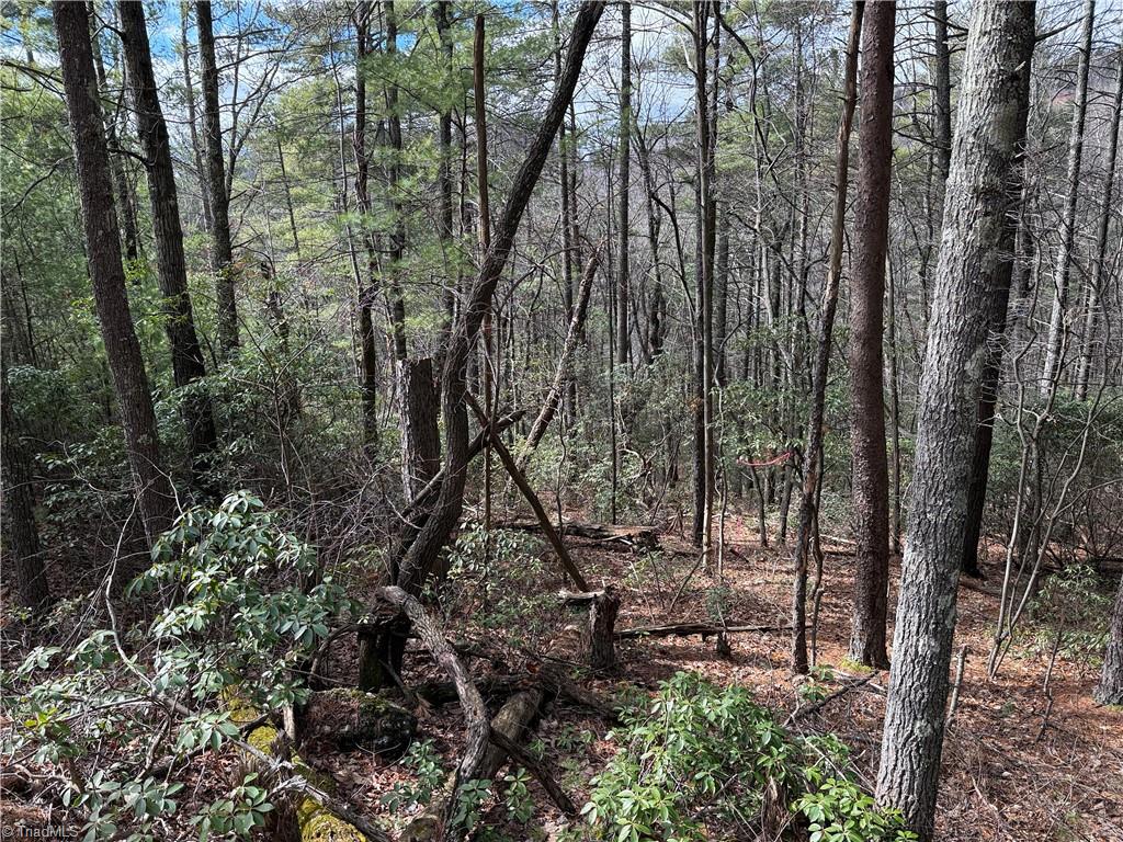 Lot 19 Wolf Pen Road, Purlear, North Carolina image 19