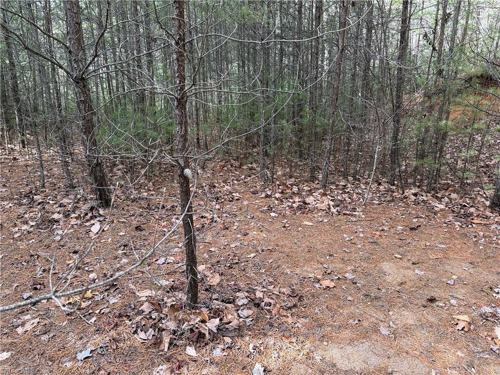 Lot 19 Wolf Pen Road, Purlear, North Carolina image 13