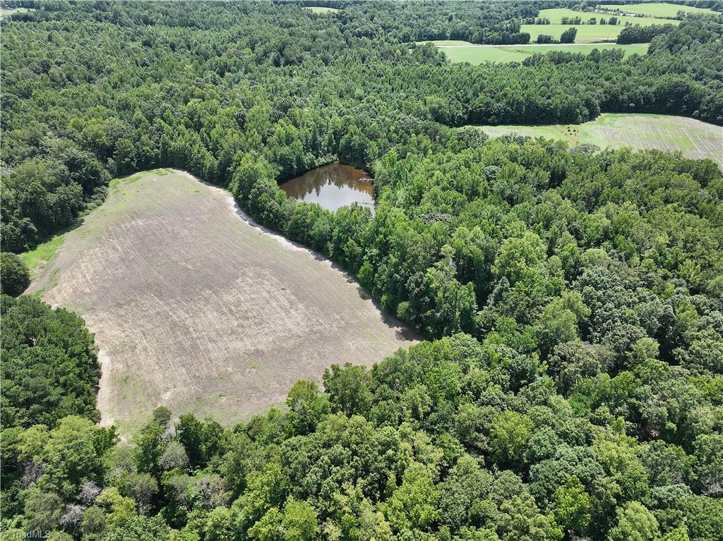 Candy Creek Road, Reidsville, North Carolina image 19