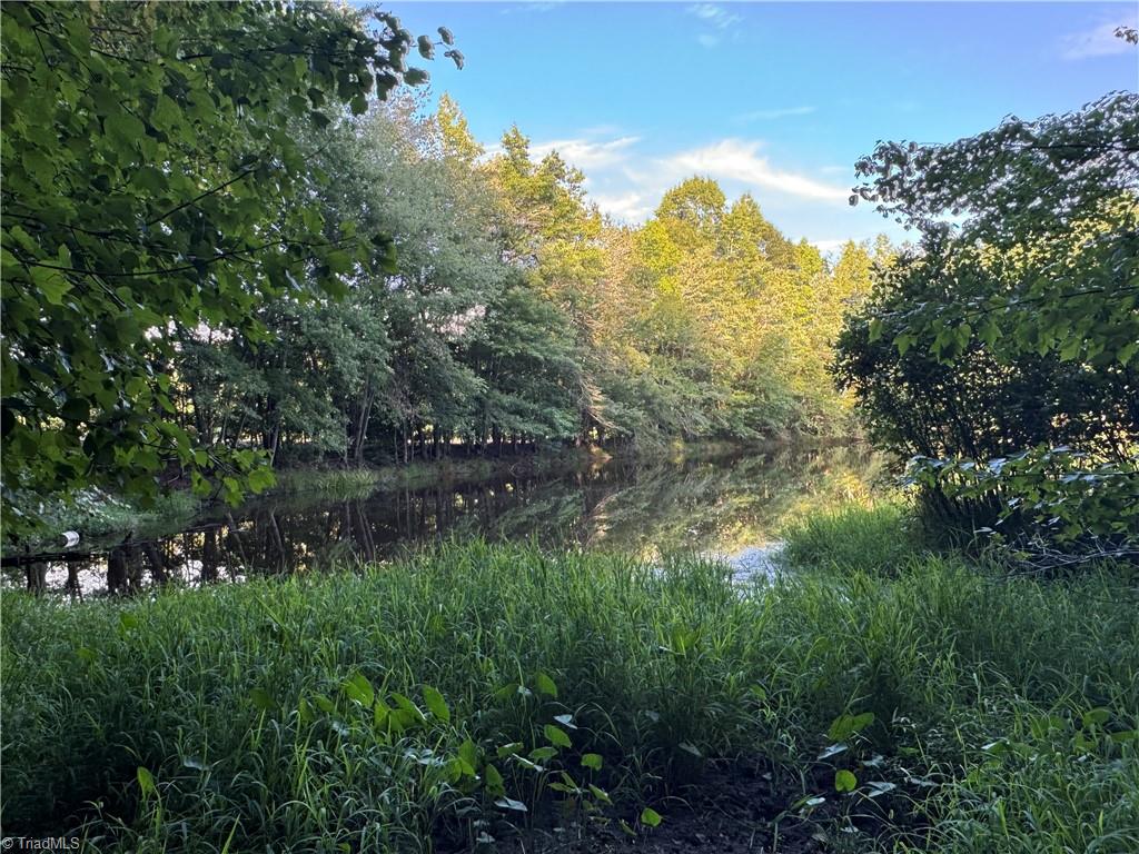 Candy Creek Road, Reidsville, North Carolina image 18